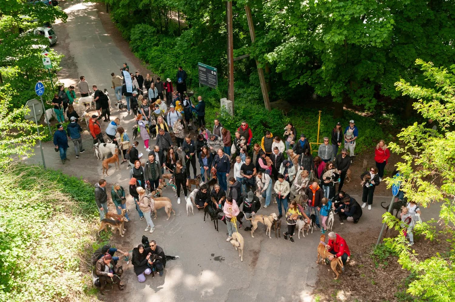 The Great Global Greyhoud Walk – Polska